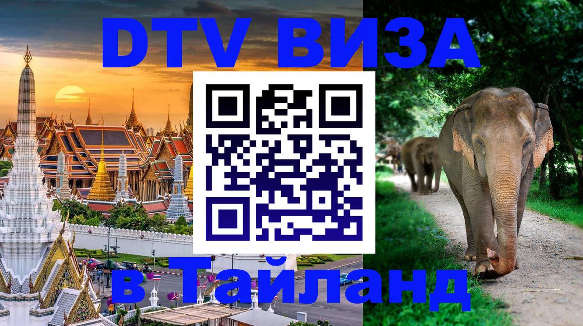 Оформление DTV визы под ключ: стоимость и тарифы, только загранпаспорт - Астана 